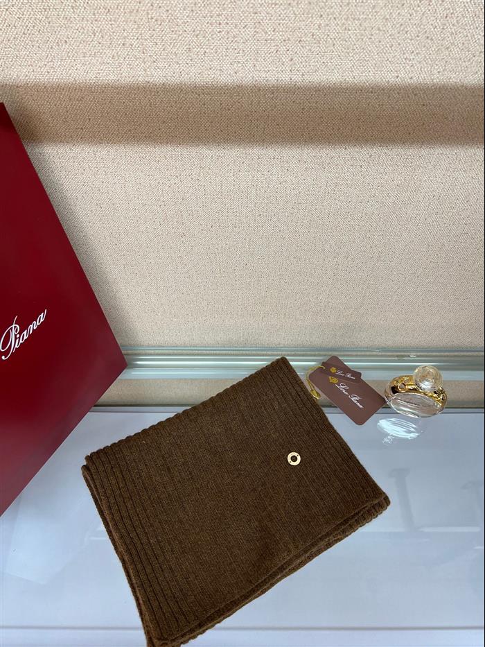 2026116112024399 100